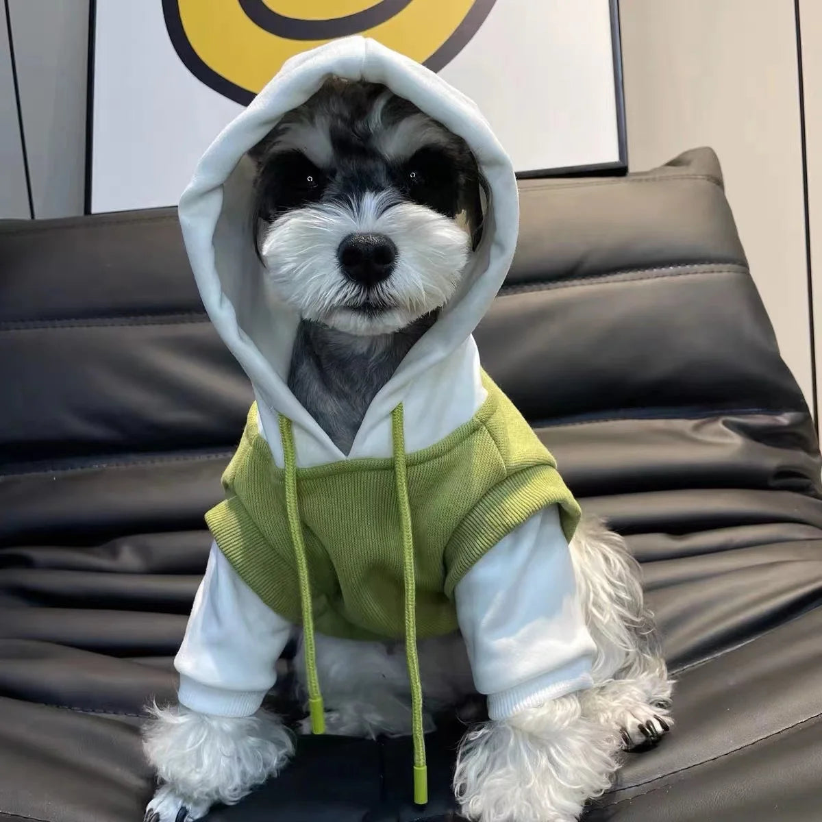 Pet Winter Hooded Sweatshirt 