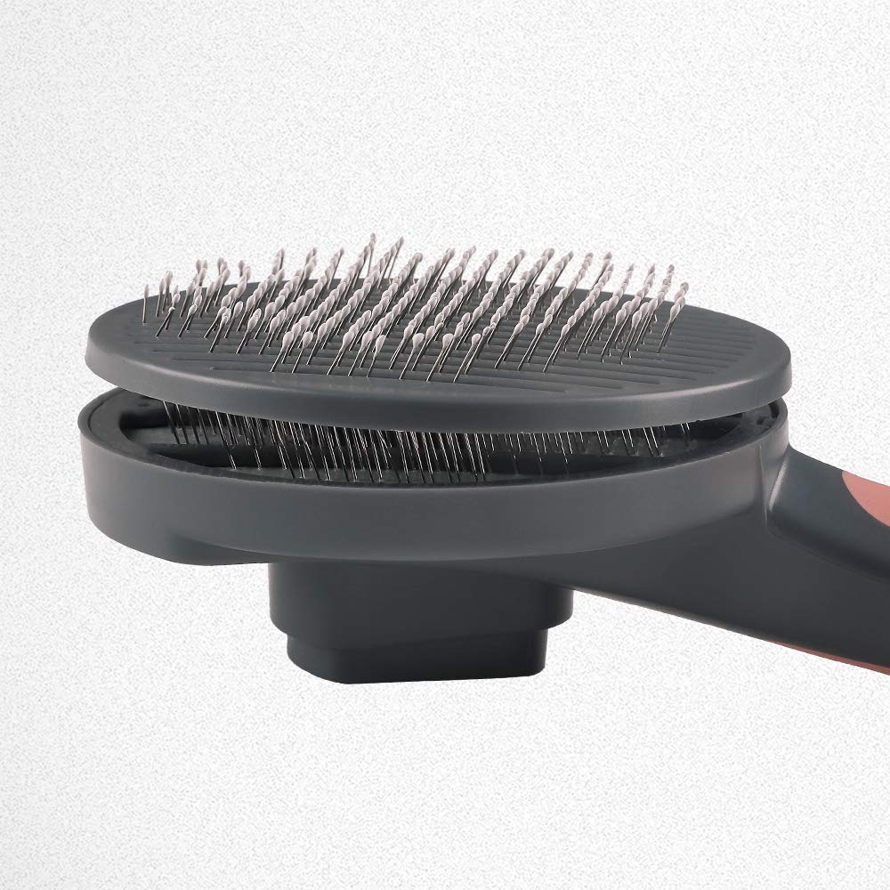 Pet Grooming Brush