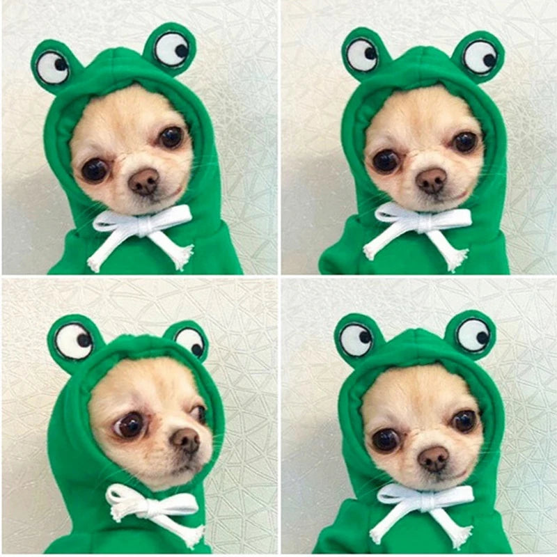 Pet Frog Hoodie